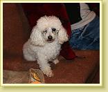 IMG_6405